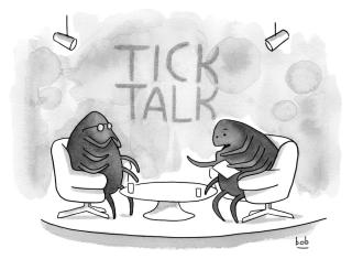 Two ticks talking on set 