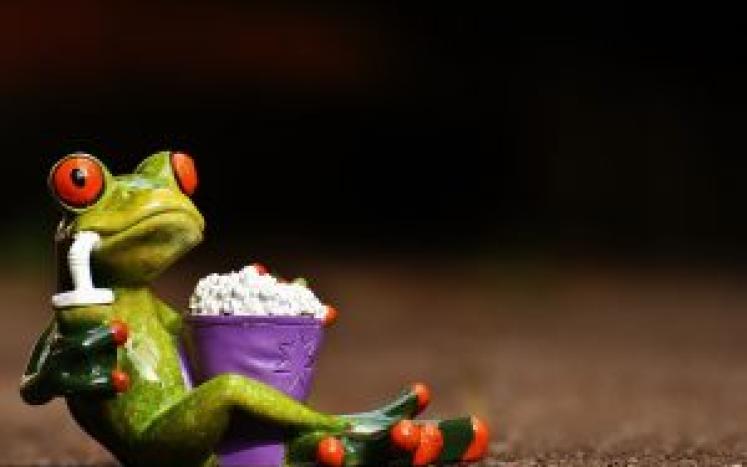 Frog eating popcorn 