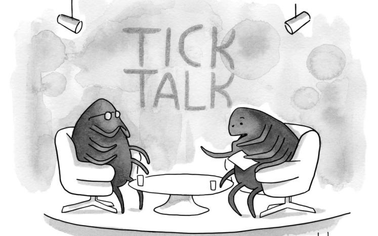Two ticks talking on set 